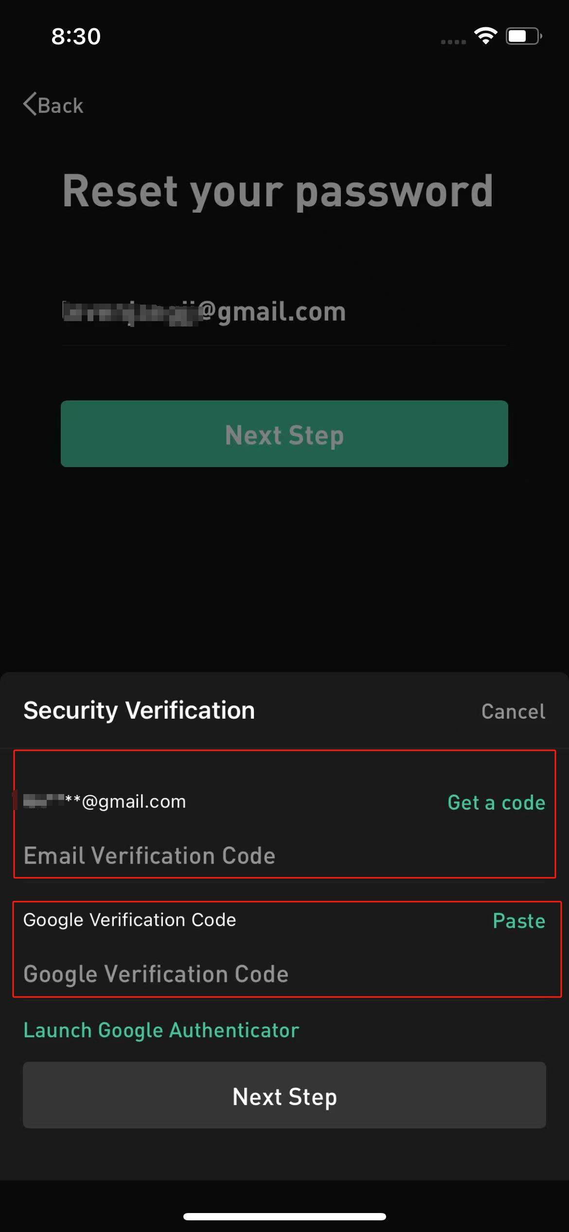 Step 1 Reset Password